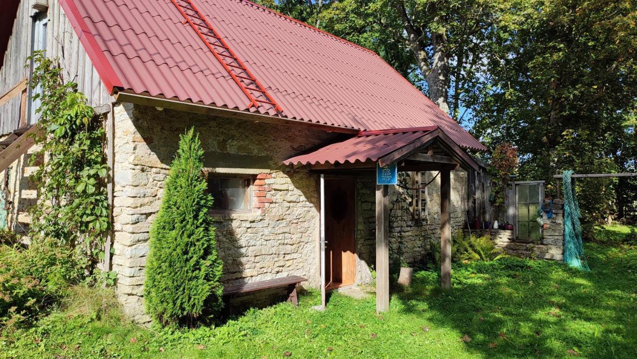 Hostal Viini Puhkemaja Mustjala Exterior foto