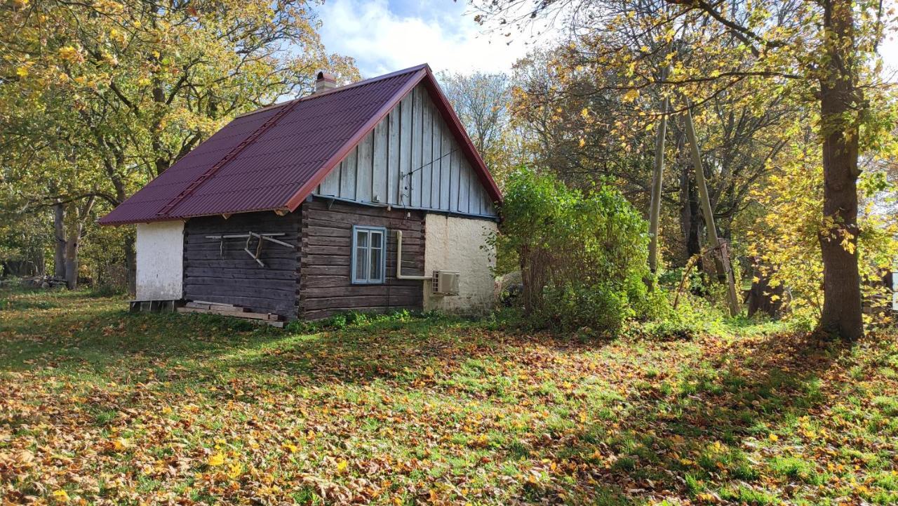 Hostal Viini Puhkemaja Mustjala Exterior foto