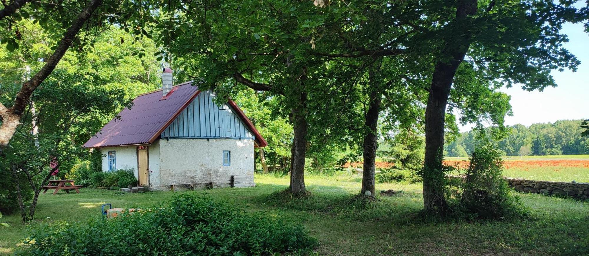Hostal Viini Puhkemaja Mustjala Exterior foto